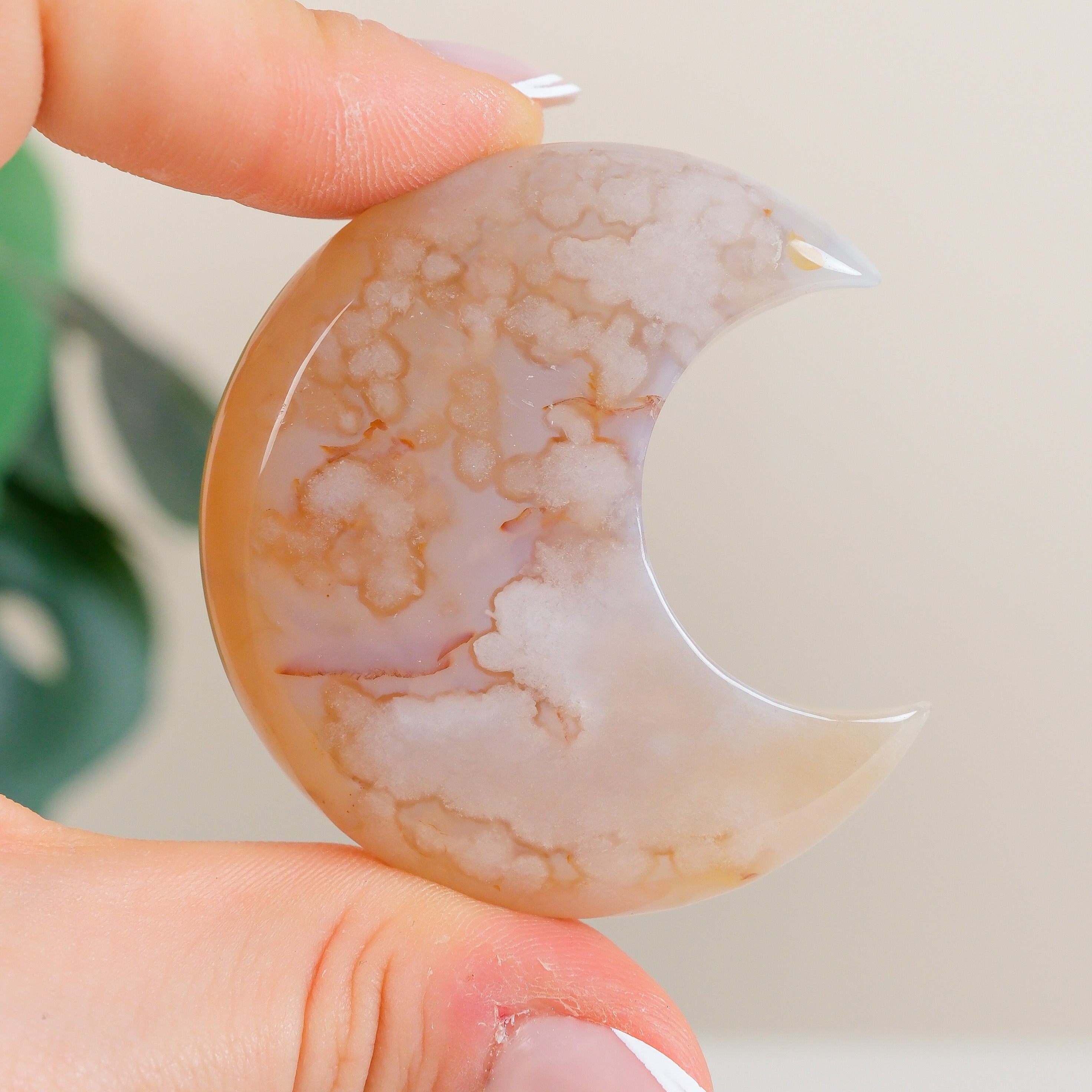 Flower Agate Moon