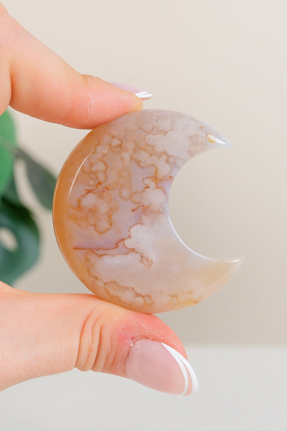 Flower Agate Moon