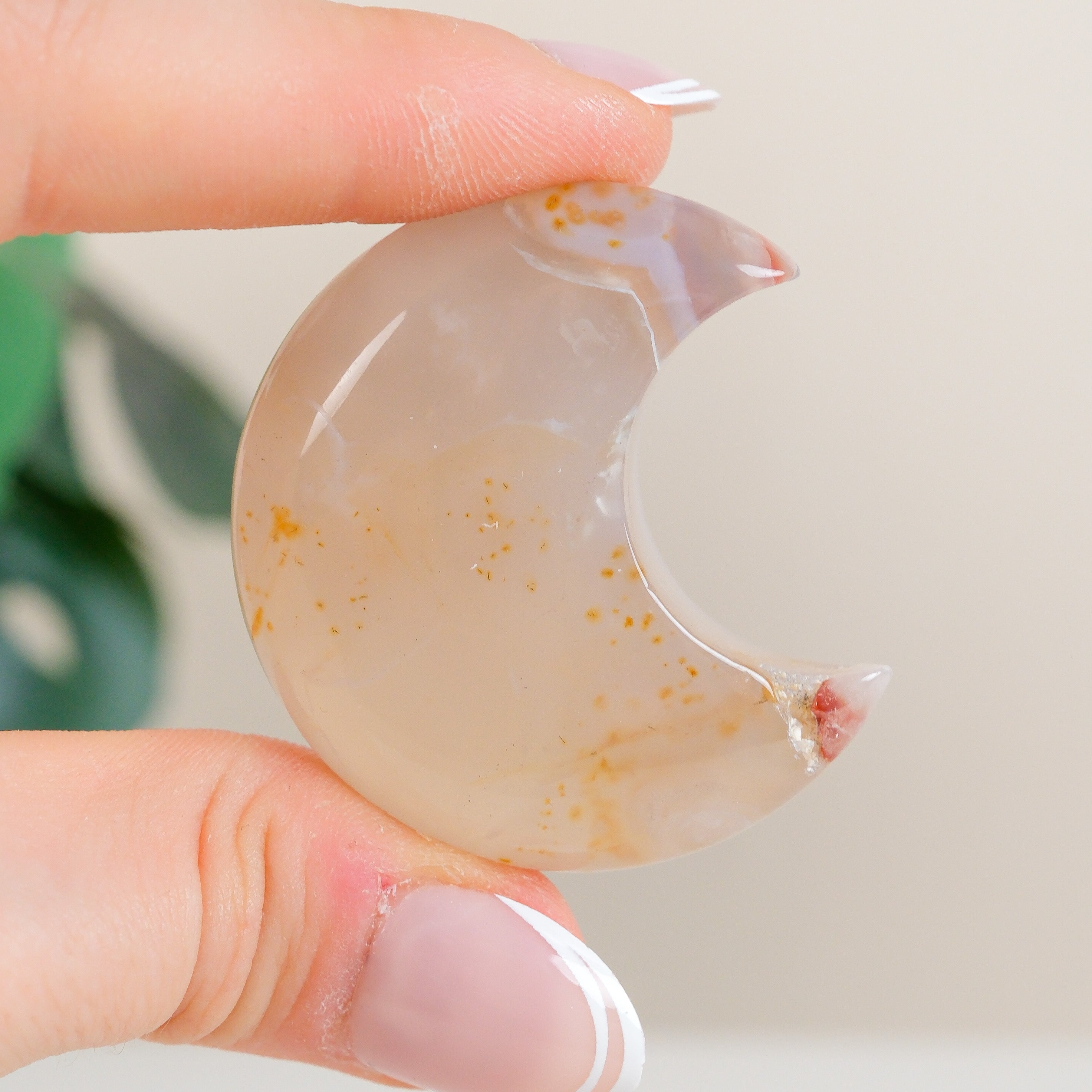Flower Agate Moon