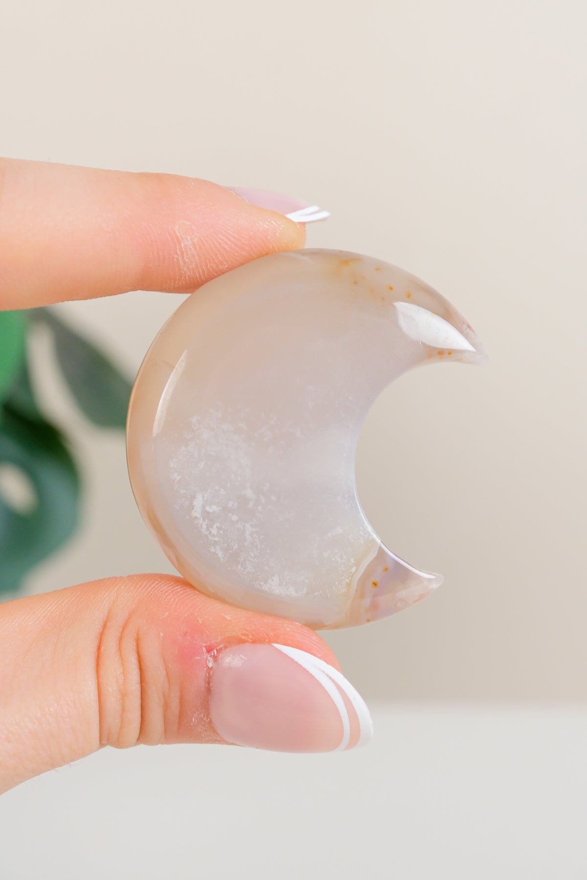 Flower Agate Moon