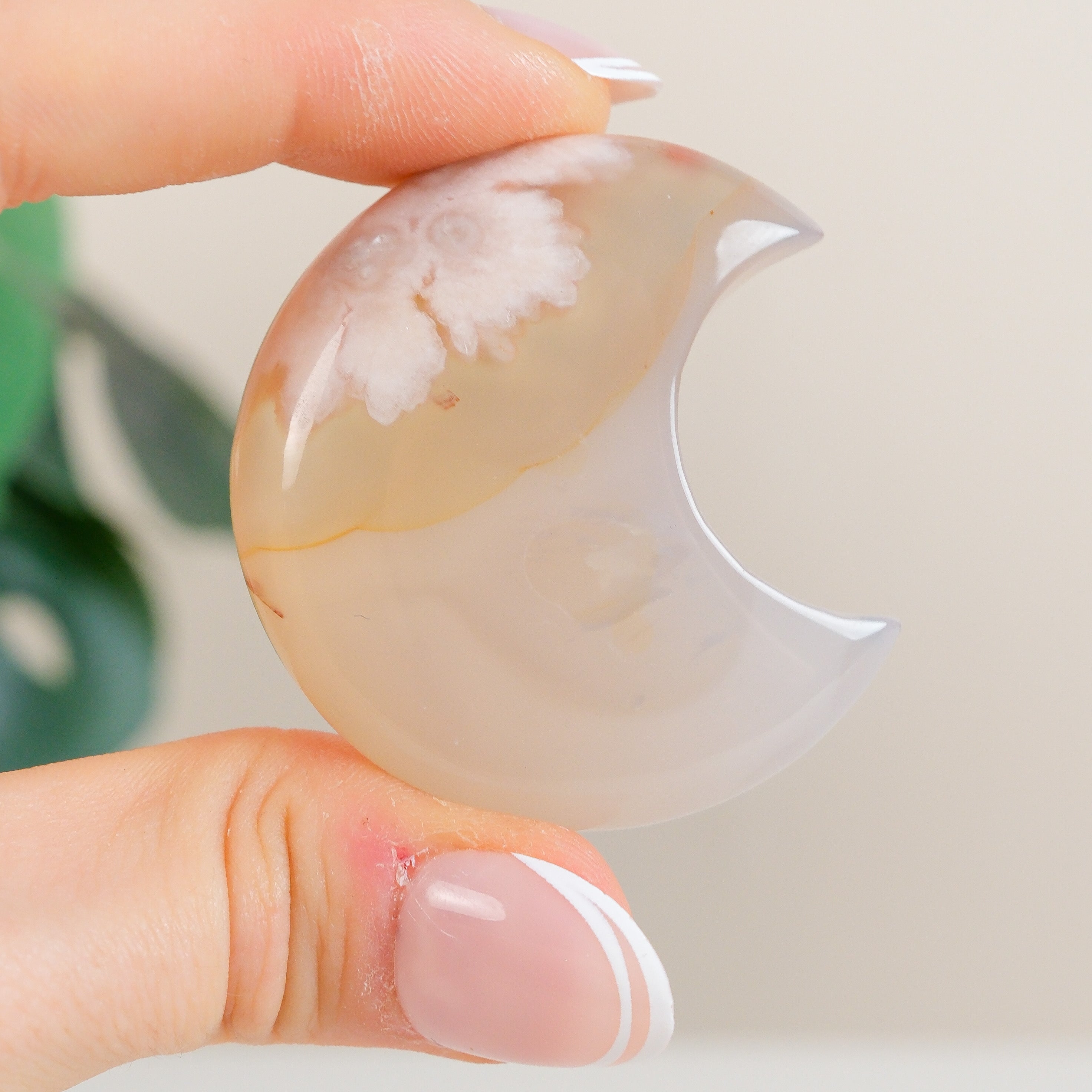 Flower Agate Moon