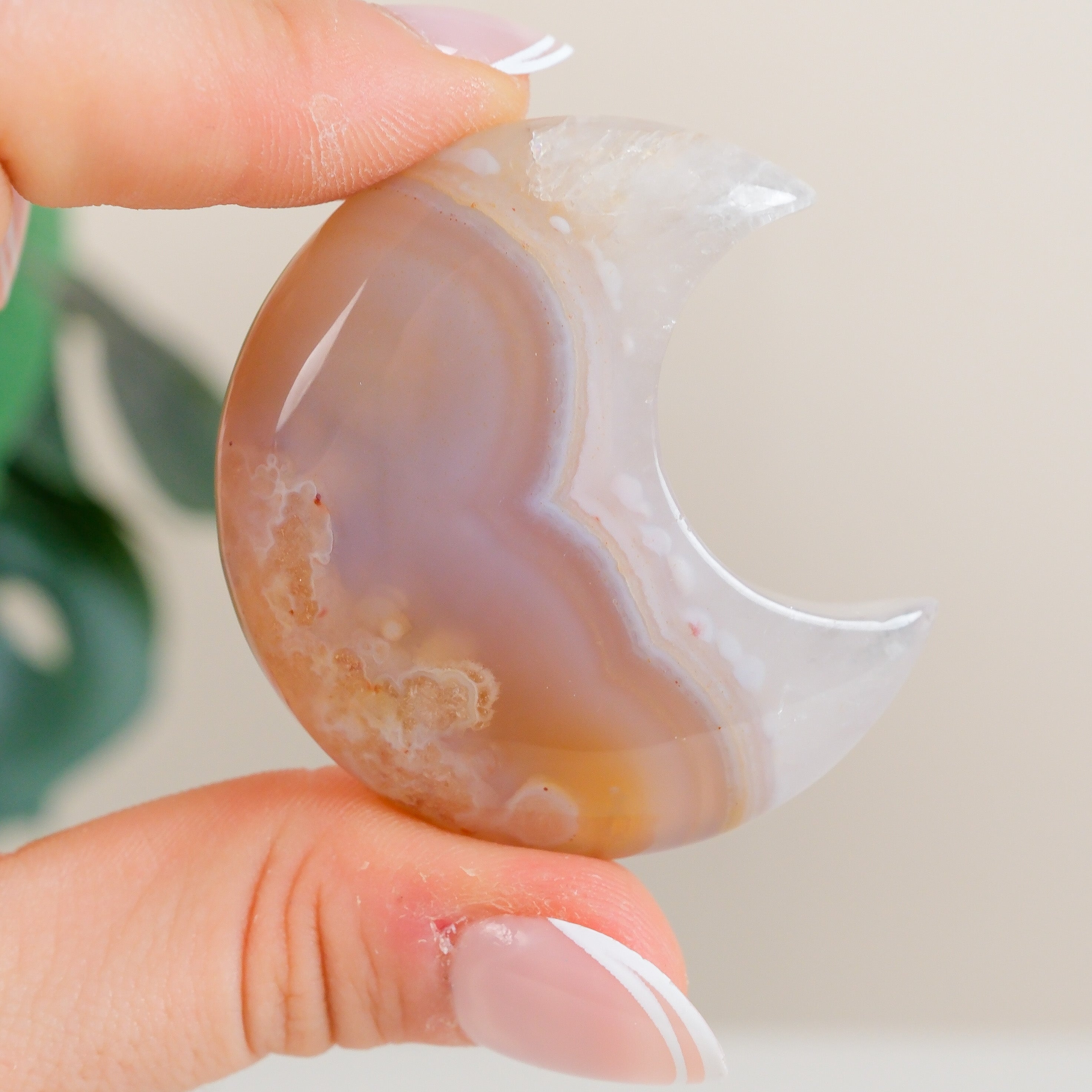 Flower Agate Moon