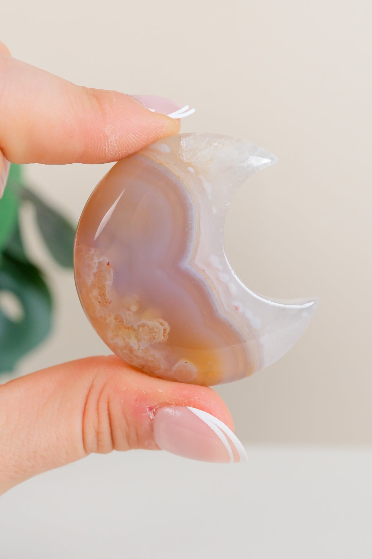 Flower Agate Moon