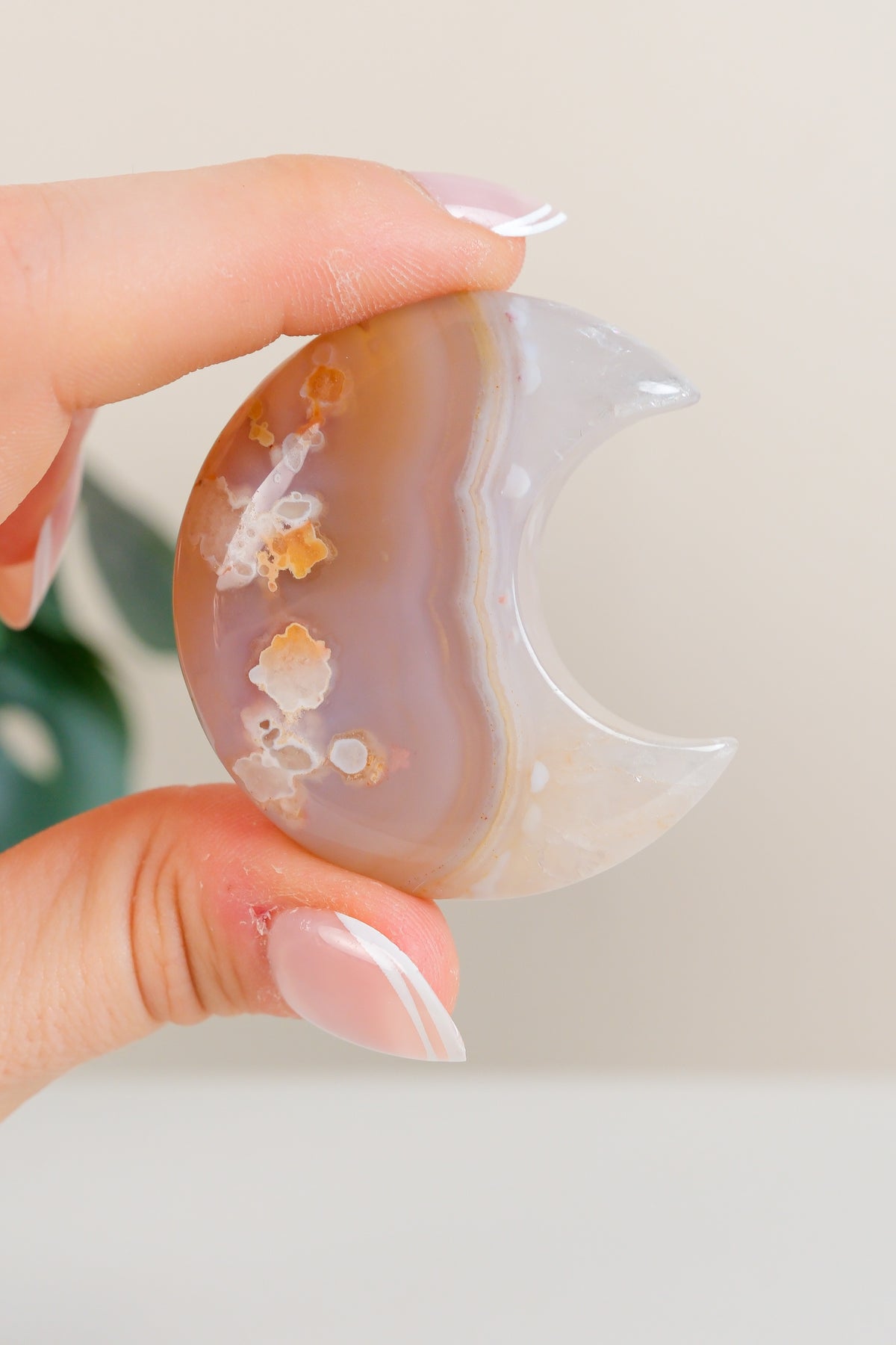 Flower Agate Moon