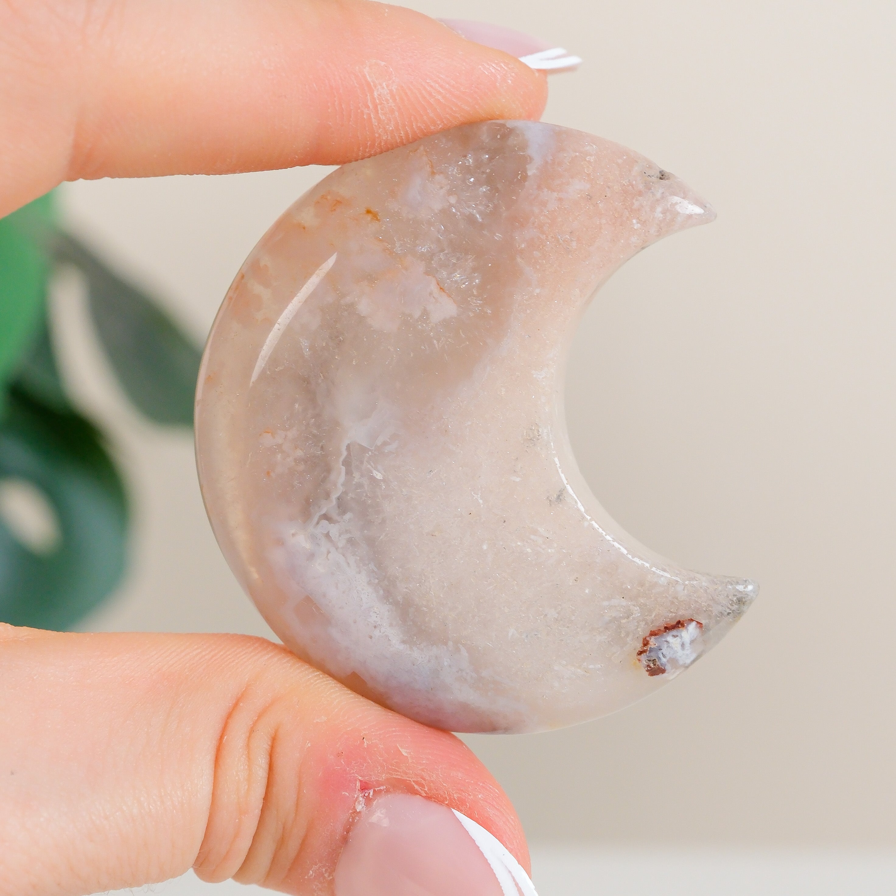 Flower Agate Moon