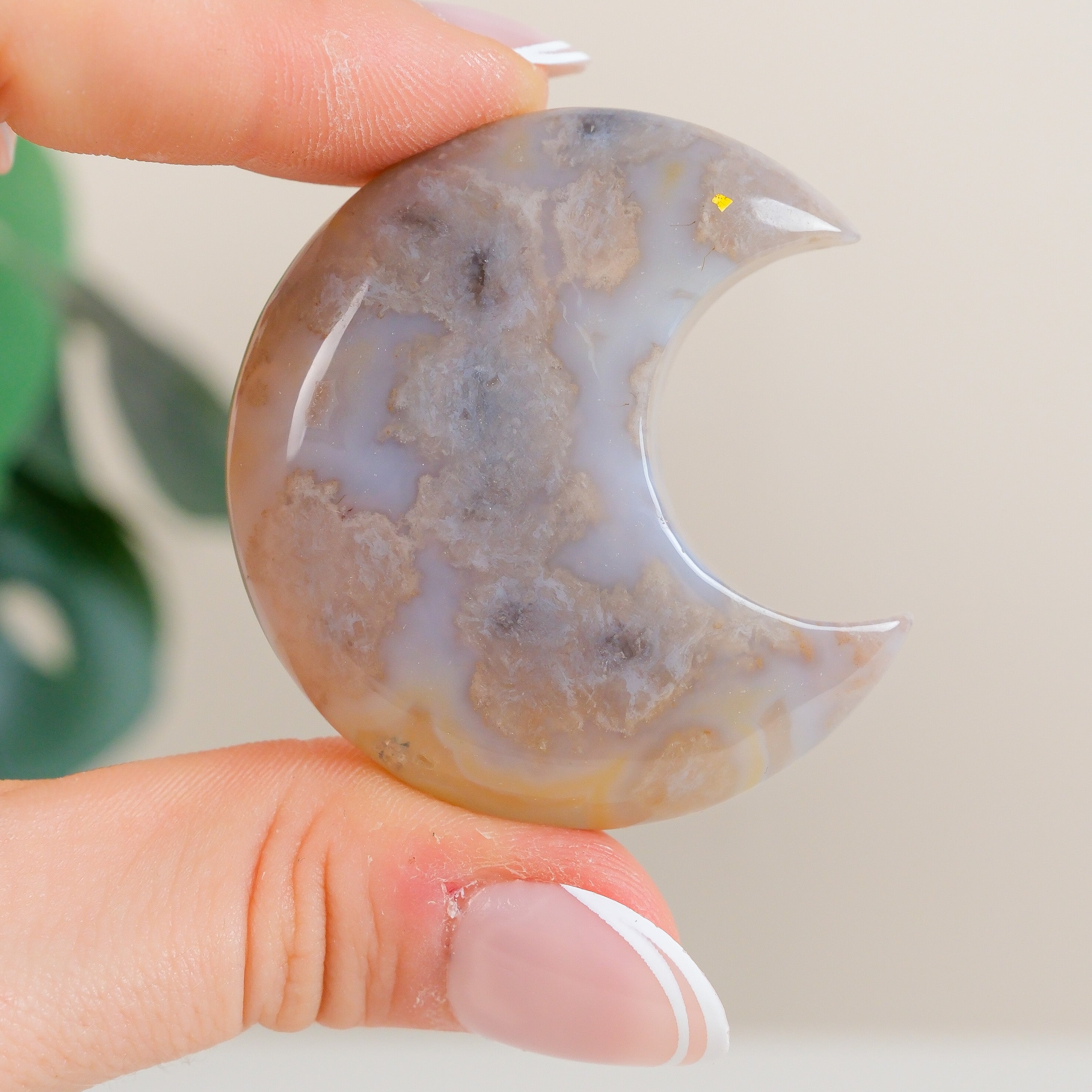 Flower Agate Moon