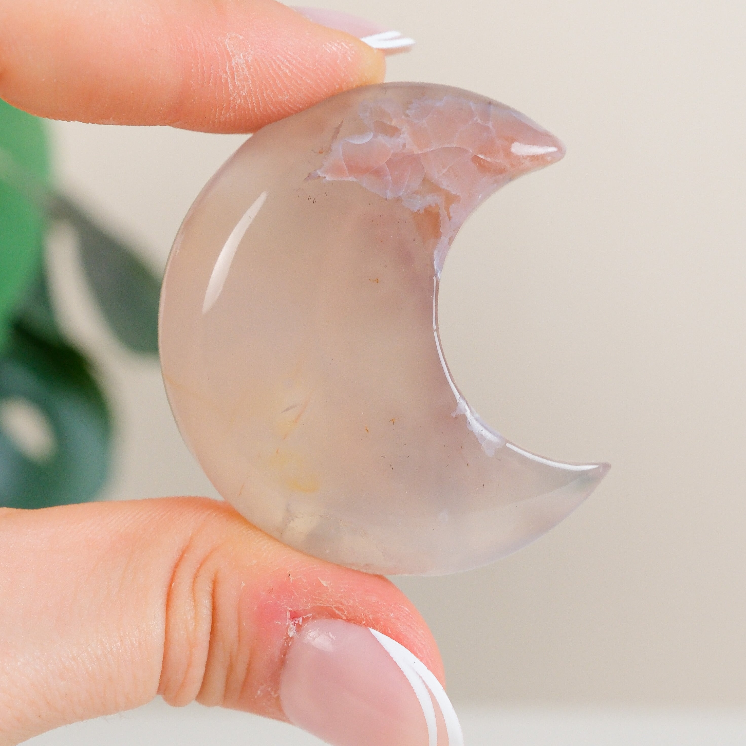 Flower Agate Moon
