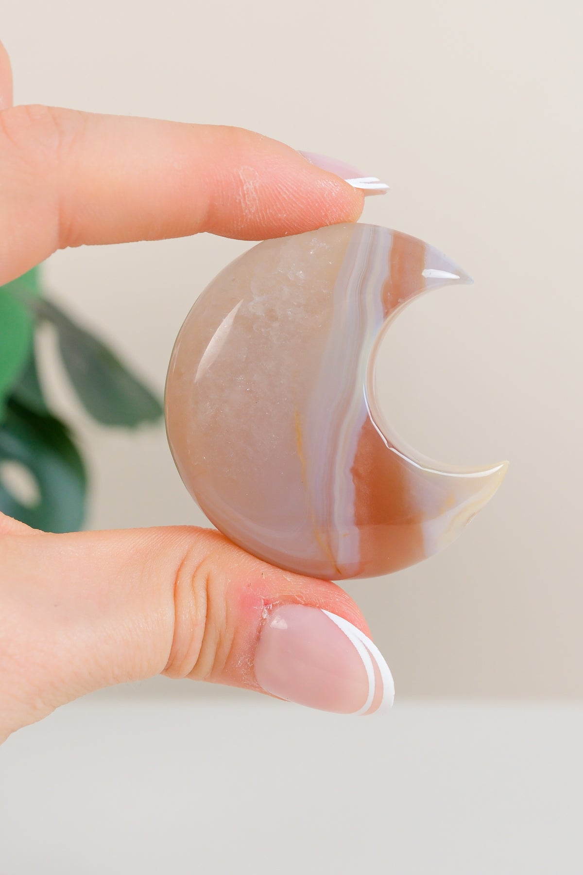 Flower Agate Moon