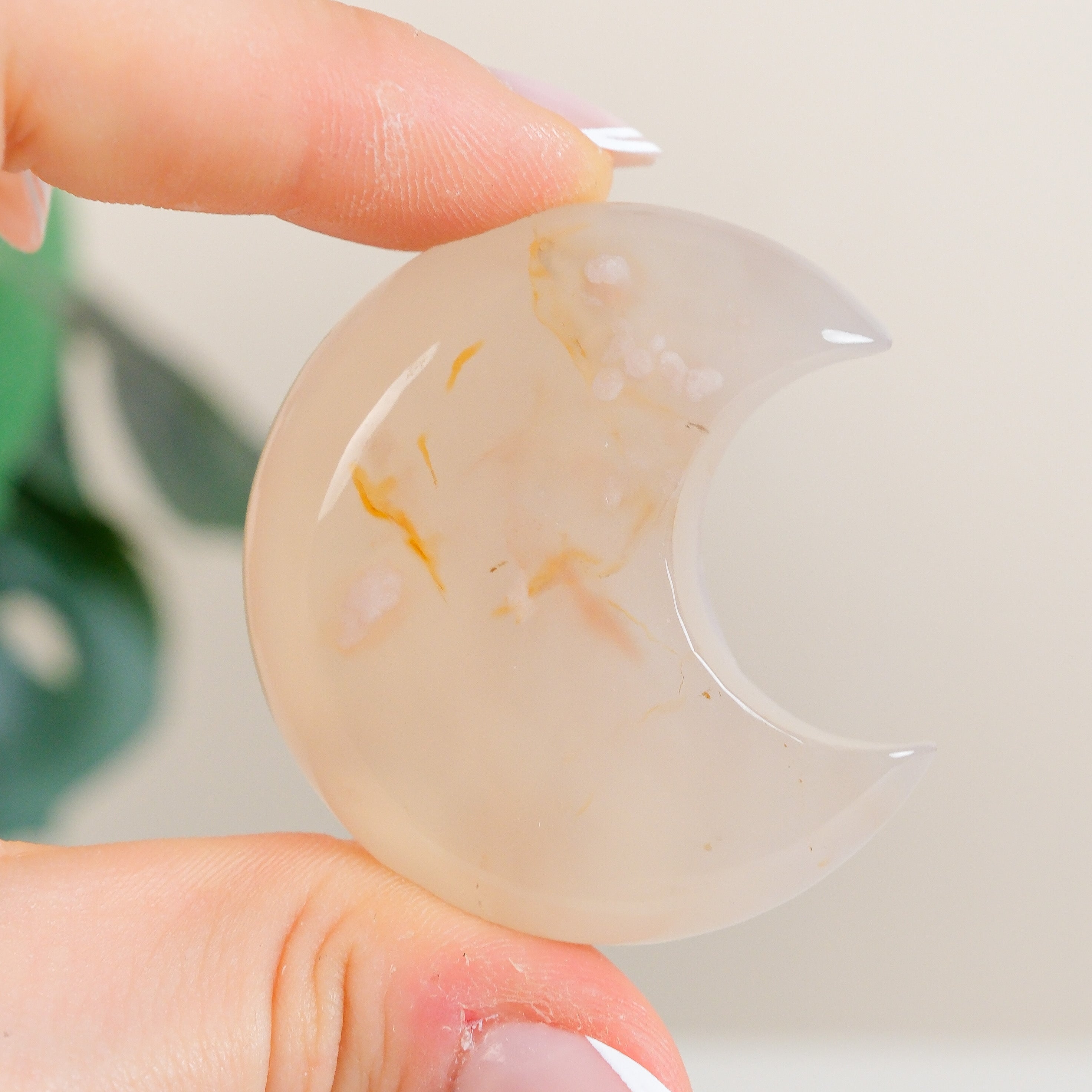 Flower Agate Moon