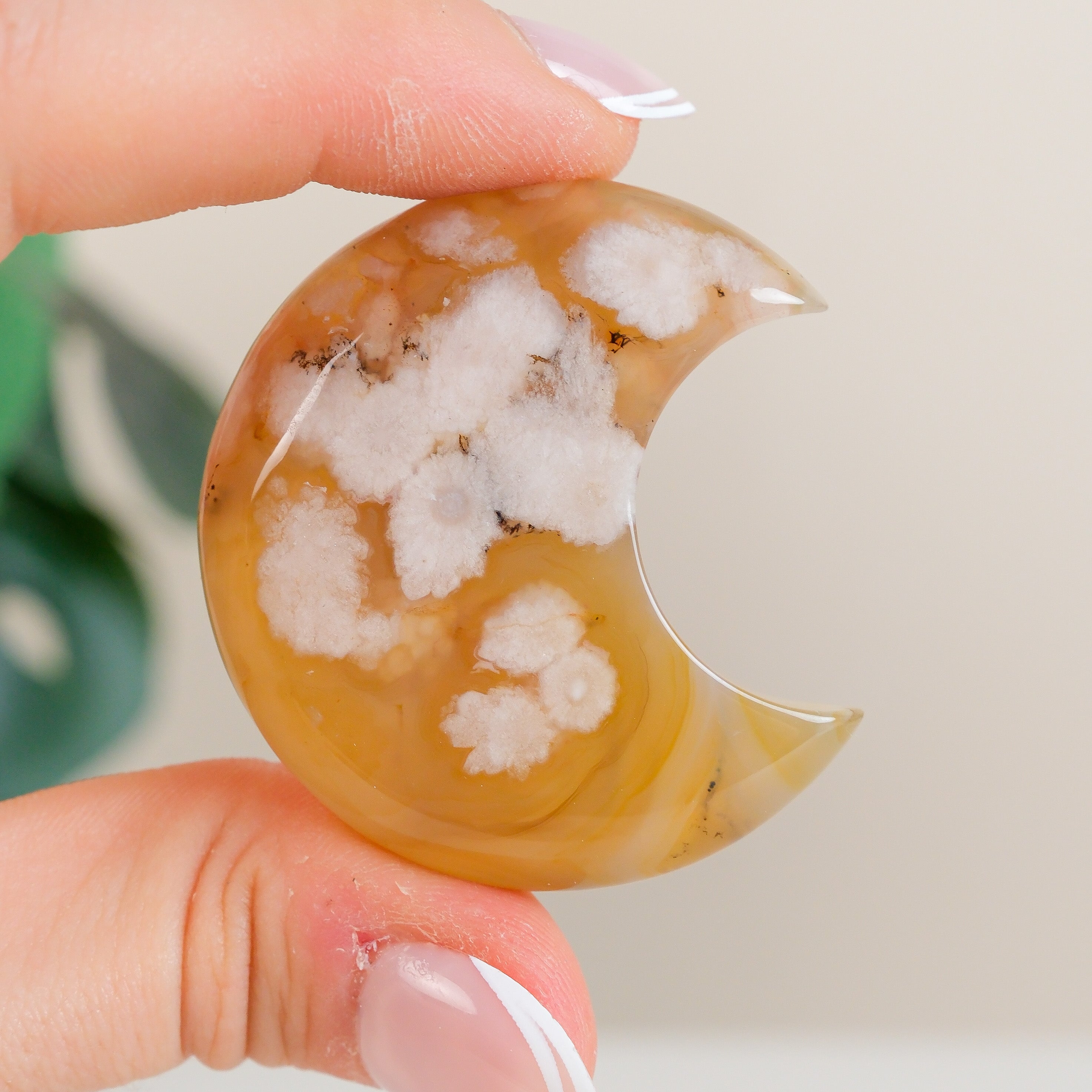 Flower Agate Moon