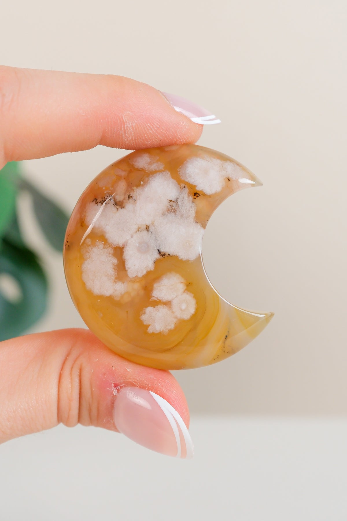 Flower Agate Moon