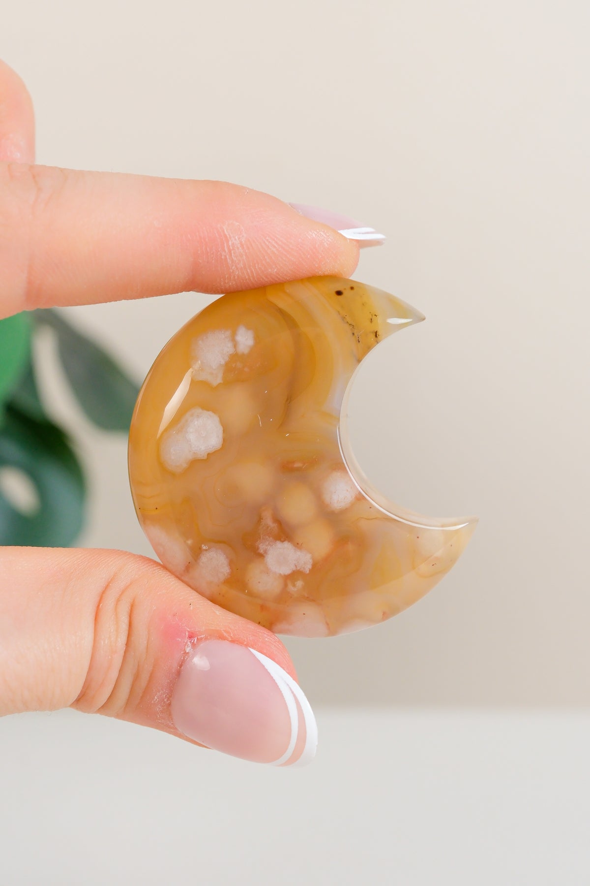 Flower Agate Moon