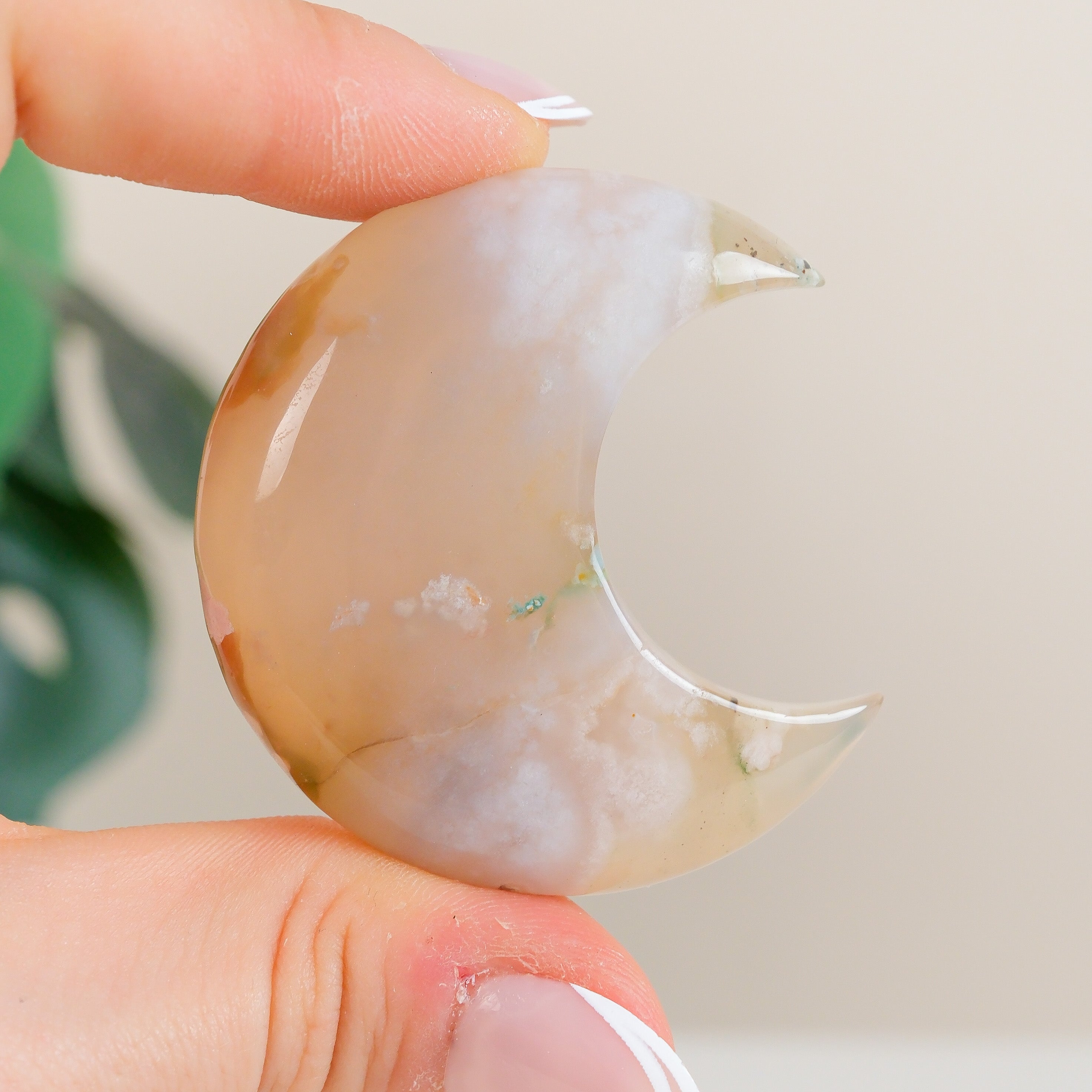 Flower Agate Moon