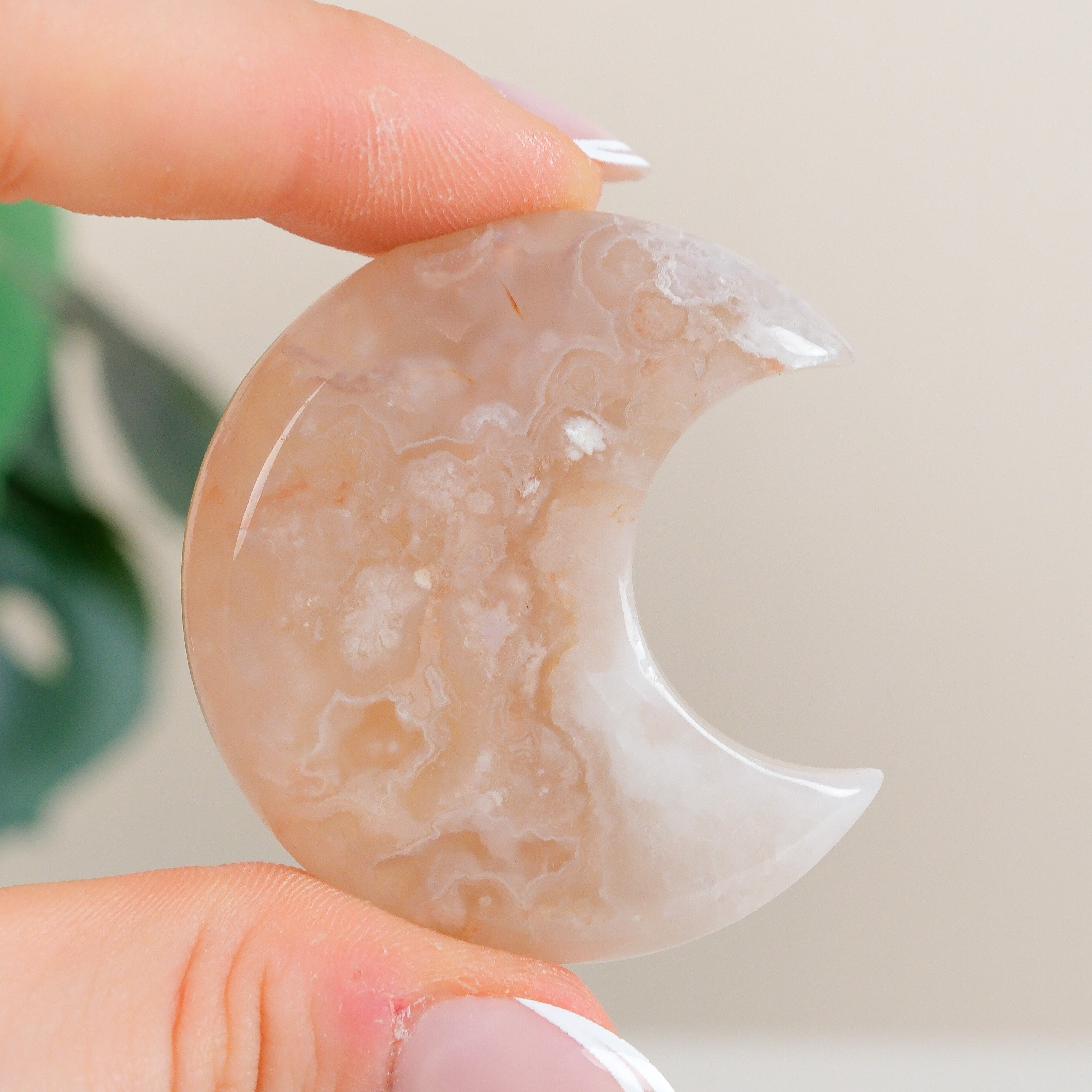Flower Agate Moon