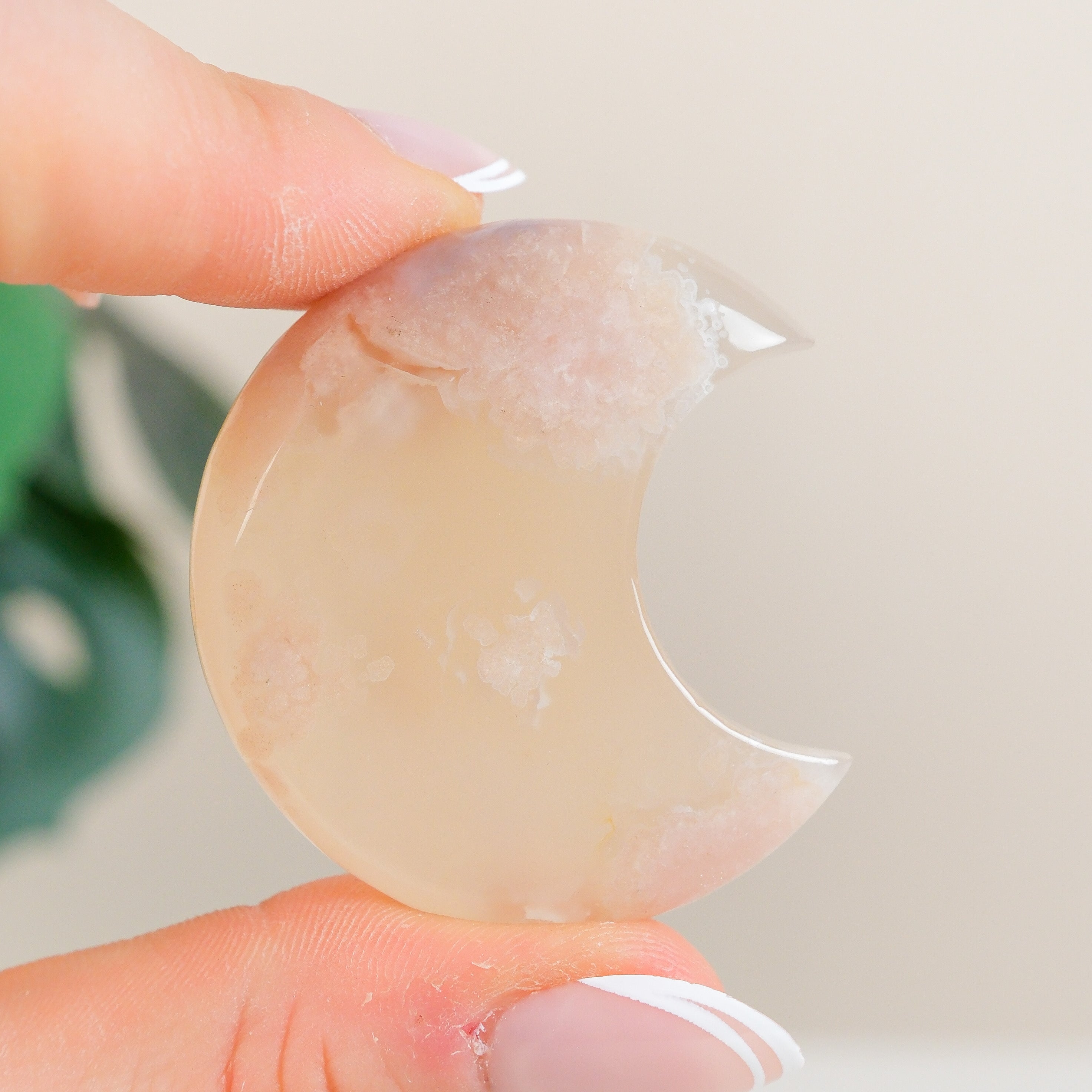 Flower Agate Moon