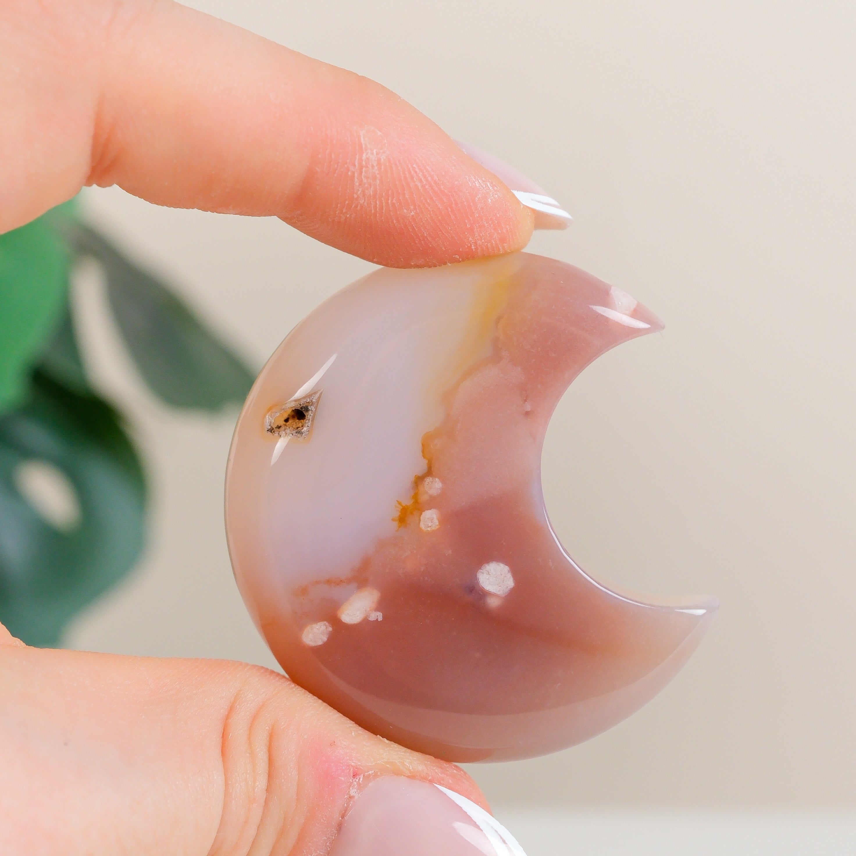 Flower Agate Moon
