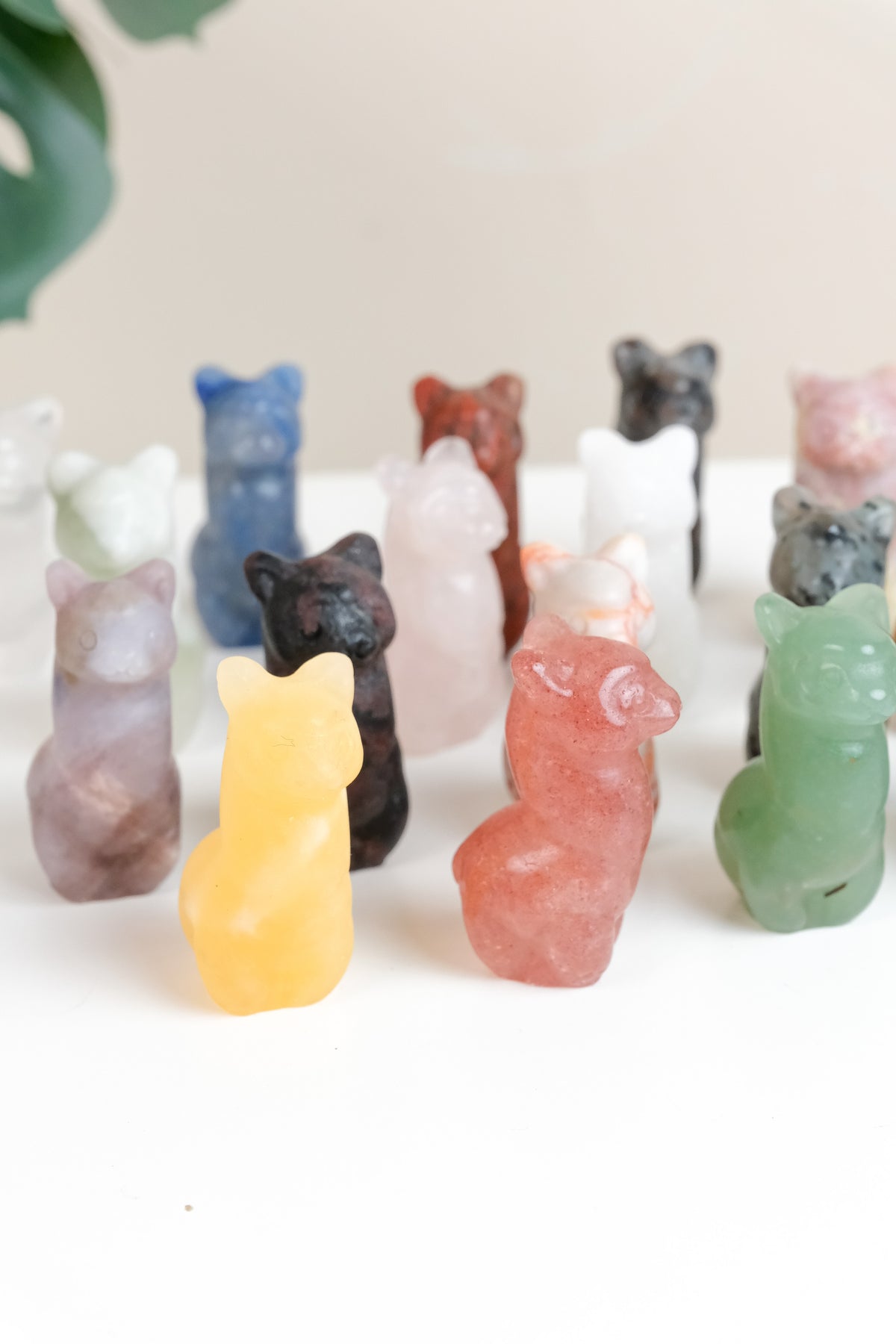 Mixed Material Llama - Choose Your Own