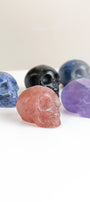 Mixed Material Skull - Choose Your Own
