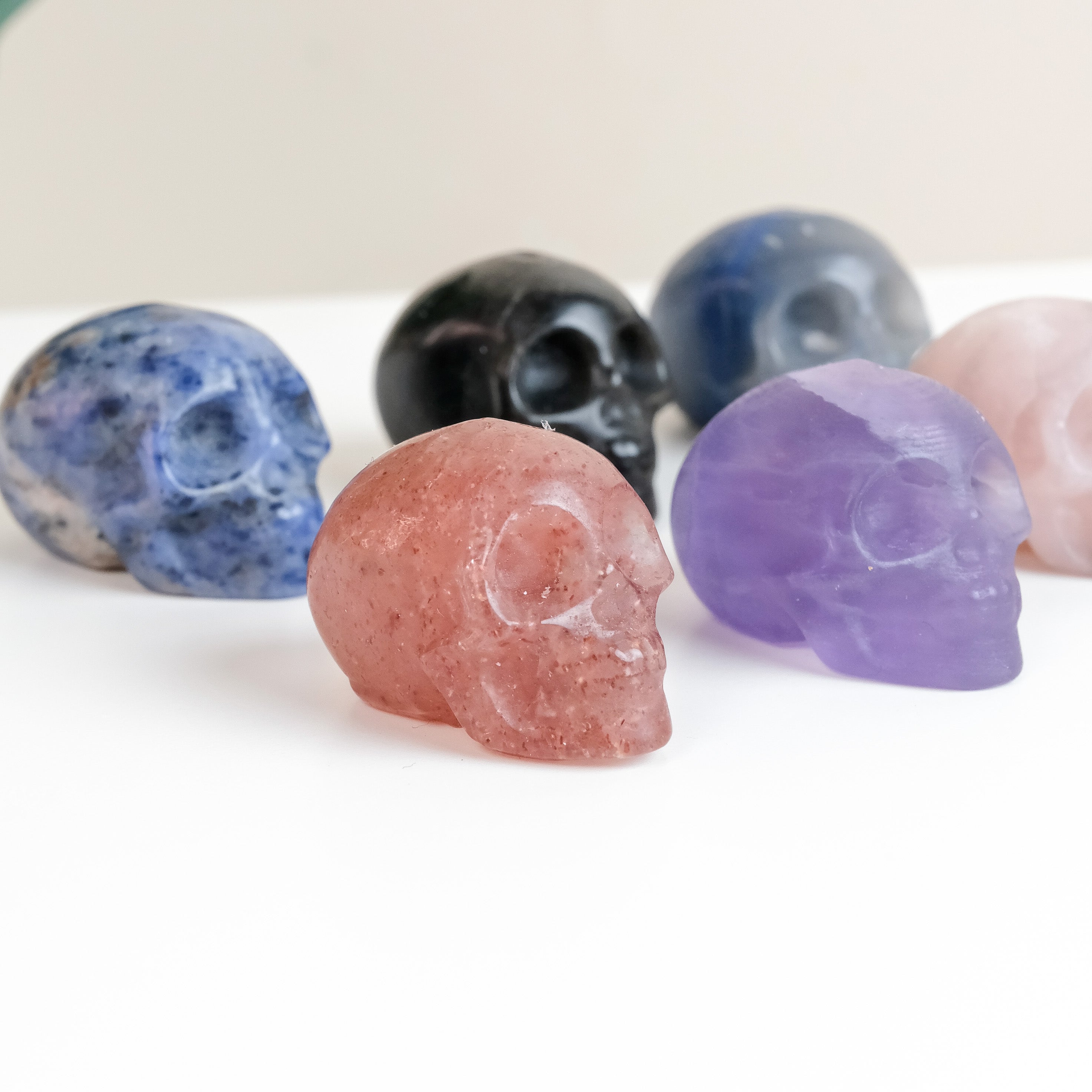 Mixed Material Skull - Choose Your Own