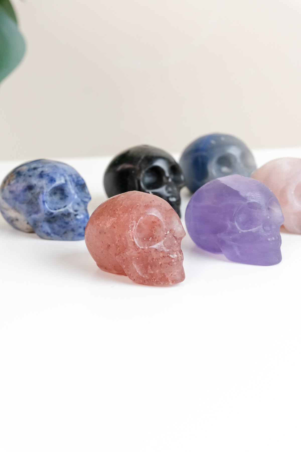 Mixed Material Skull - Choose Your Own