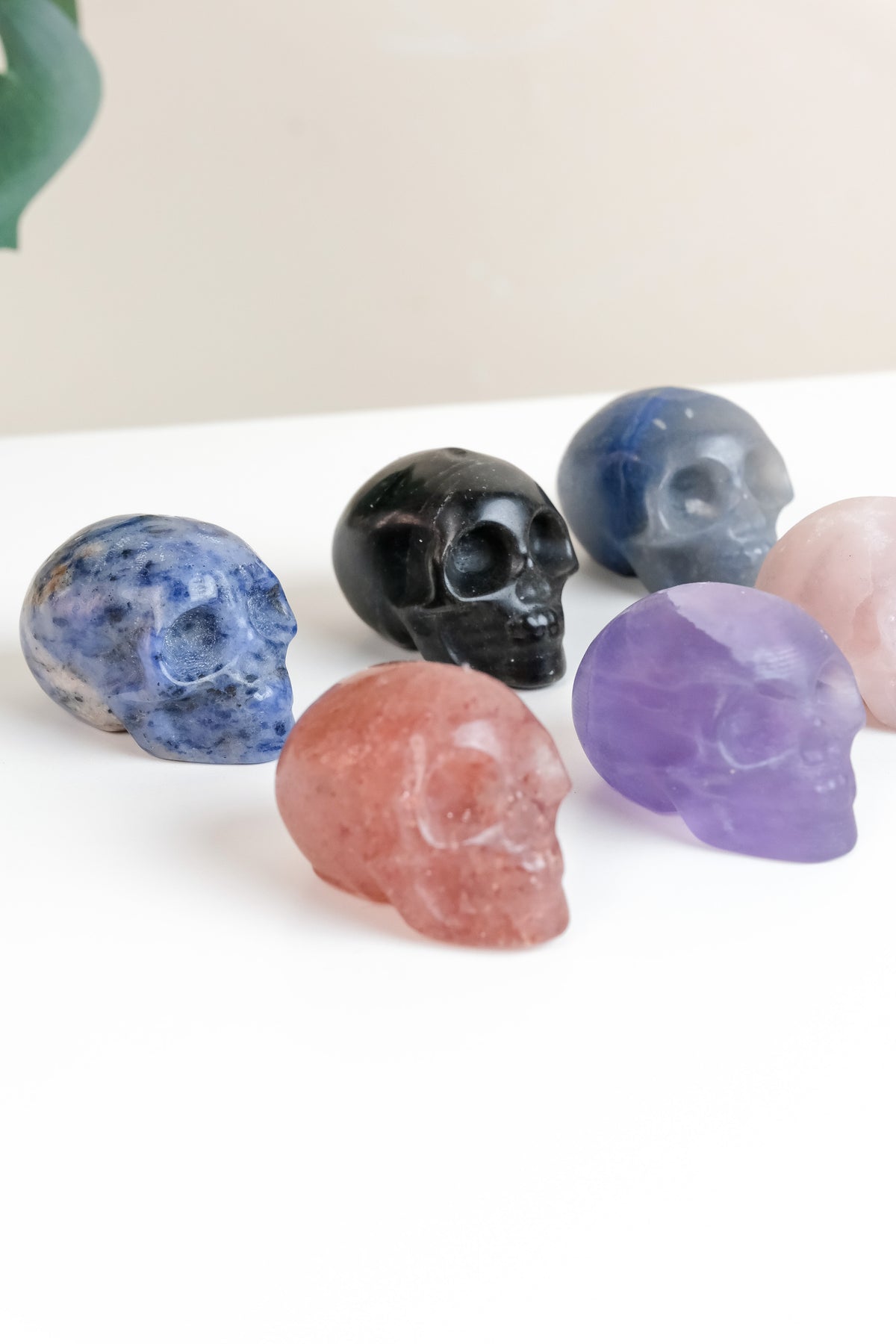 Mixed Material Skull - Choose Your Own