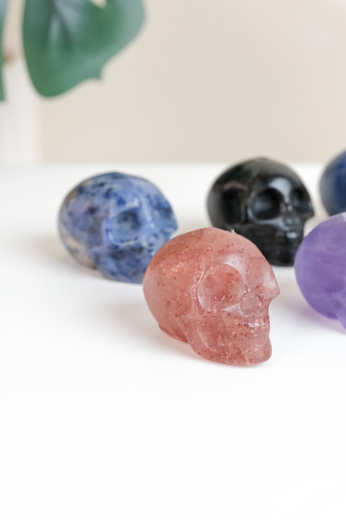 Mixed Material Skull - Choose Your Own