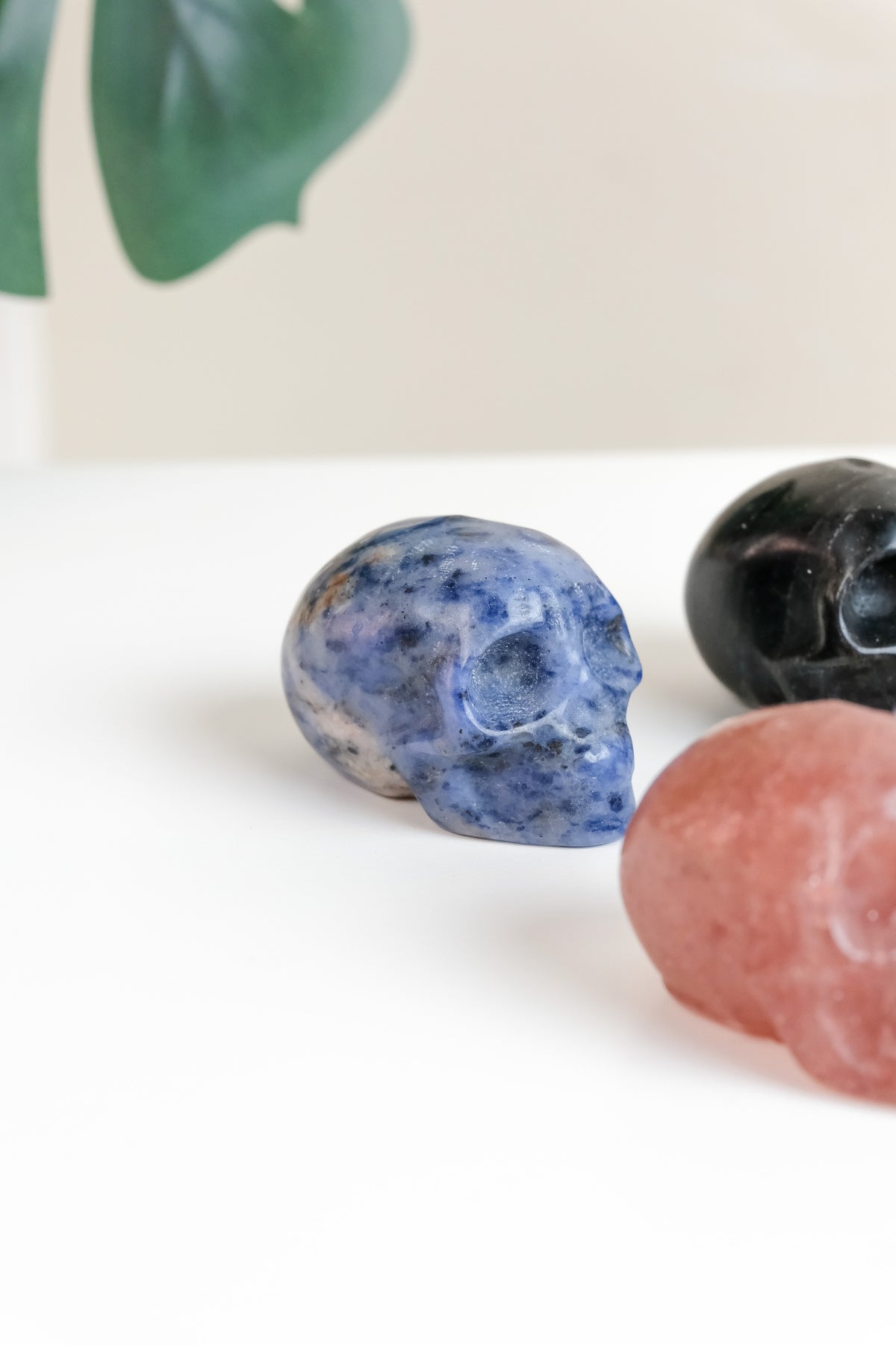 Mixed Material Skull - Choose Your Own