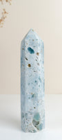 Ocean Jasper Tower