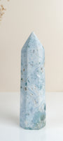 Ocean Jasper Tower