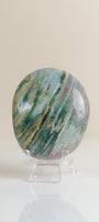 Ocean Jasper Palmstone